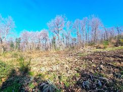 Terreno agricolo in Commerciale