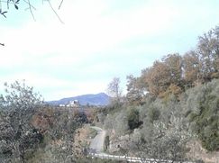 Rustico/Casale in Residenziale