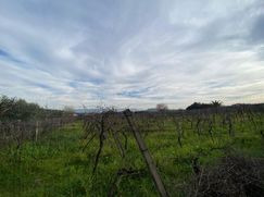 Terreno agricolo in Commerciale