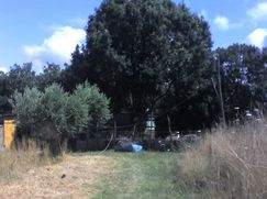 Terreno agricolo in Commerciale