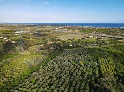 Terreno edificabile in Residenziale