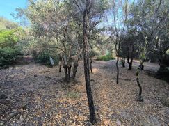 Terreno edificabile in Residenziale