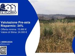 Terreno agricolo in Commerciale
