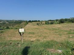 Terreno agricolo in Commerciale
