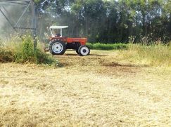 Terreno agricolo in Commerciale