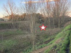 Terreno edificabile in Residenziale