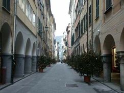 Negozio/Locale commerciale in Commerciale