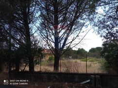 Terreno edificabile in Residenziale