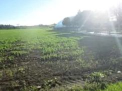 Terreno edificabile in Residenziale