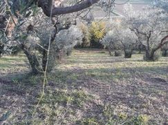 Terreno agricolo in Commerciale