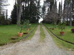 Rustico/Casale in Residenziale