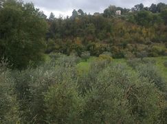 Rustico/Casale in Residenziale