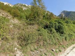 Terreno agricolo in Commerciale