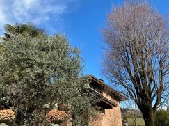 Villa in Residenziale