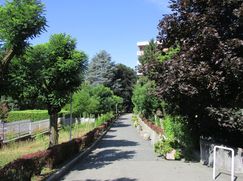 Appartamento in Residenziale