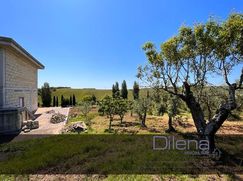 Terreno agricolo in Commerciale