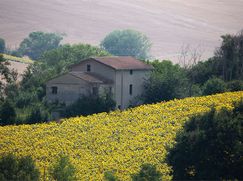 Rustico/Casale in Residenziale