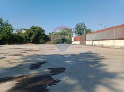 Terreno agricolo in Commerciale