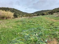 Terreno agricolo in Commerciale