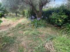 Terreno agricolo in Commerciale