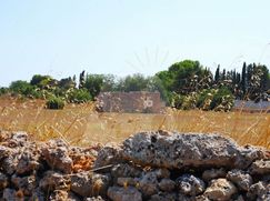 Terreno edificabile in Residenziale