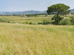 Terreno edificabile in Residenziale