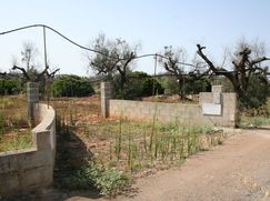 Terreno edificabile in Residenziale