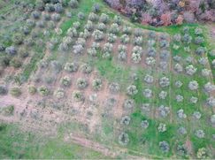 Terreno agricolo in Commerciale