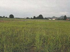 Terreno edificabile in Residenziale