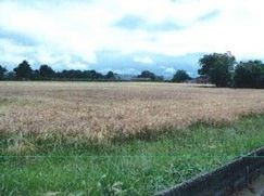 Terreno edificabile in Residenziale