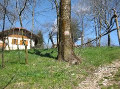 Casa indipendente in Residenziale