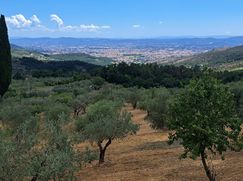 Rustico/Casale in Residenziale