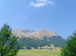 Attico/Mansarda in Residenziale