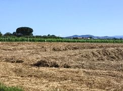 Terreno edificabile in Residenziale