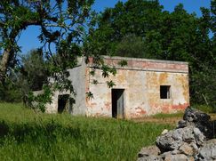 Rustico/Casale in Residenziale