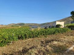 Rustico/Casale in Residenziale