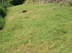Terreno agricolo in Commerciale