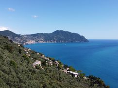 Villetta a schiera in Residenziale
