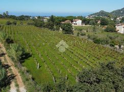 Terreno edificabile in Residenziale