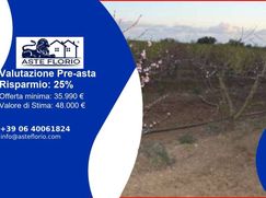 Terreno agricolo in Commerciale