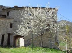 Rustico/Casale in Residenziale