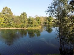 Casa Bi/Trifamiliare in Residenziale