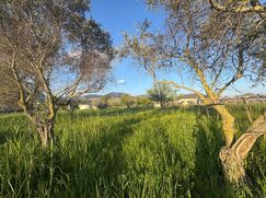 Terreno agricolo in Commerciale