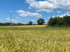 Rustico/Casale in Residenziale