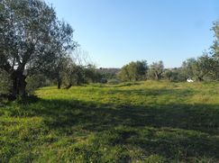 Terreno edificabile in Residenziale