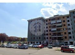 Negozio/Locale commerciale in Commerciale
