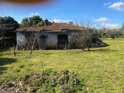 Terreno edificabile in Residenziale