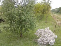 Terreno edificabile in Residenziale