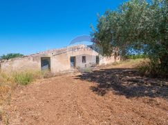 Terreno agricolo in Commerciale