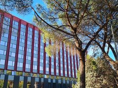 Ufficio in Commerciale